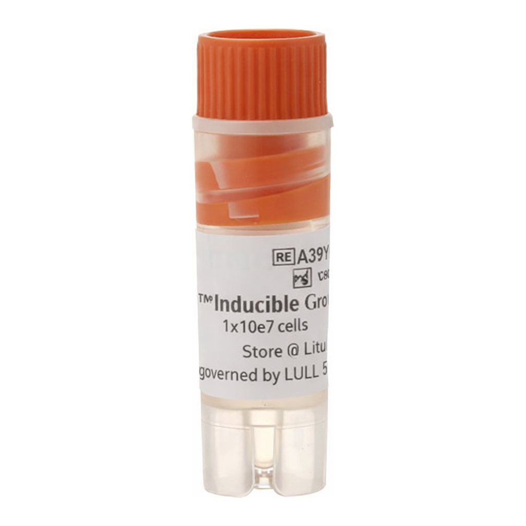Thermo Fisher Scientific Expi293F Inducible GnTI- Cells