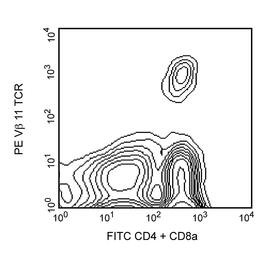 BD PE Rat Anti-Mouse Vβ 11 T-Cell Receptor