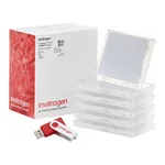 Thermo Fisher Scientific LentiArray Human Cell Cycle CRISPR Library