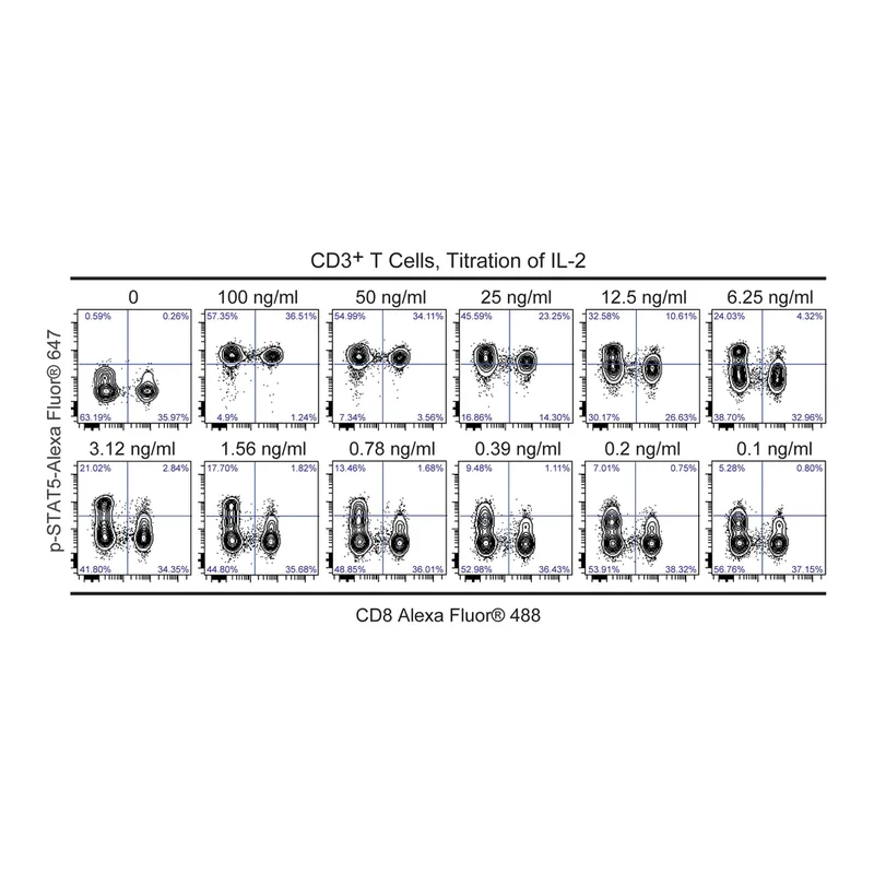 BD T Cell Activation Kit
