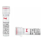 Merck MISSION(R) esiRNA