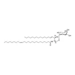 Merck C24:1 Galactosyl(alpha) Ceramide (d18:1/24:1(15Z))