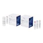 Thermo Fisher Scientific ViralSEQ Quantitative Sf-Rhabdovirus Kit, 100 reactions