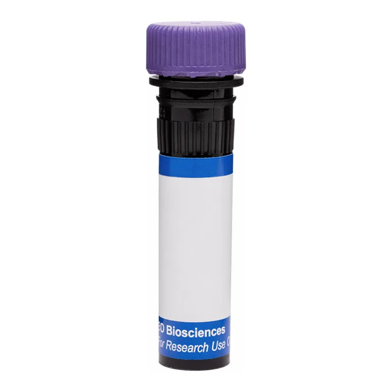 BD RB744 Mouse Anti-Human P-glycoprotein (CD243)