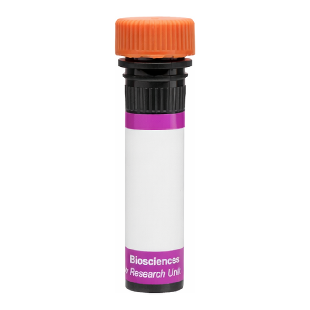 BD BV605 Mouse Anti-Human Podoplanin