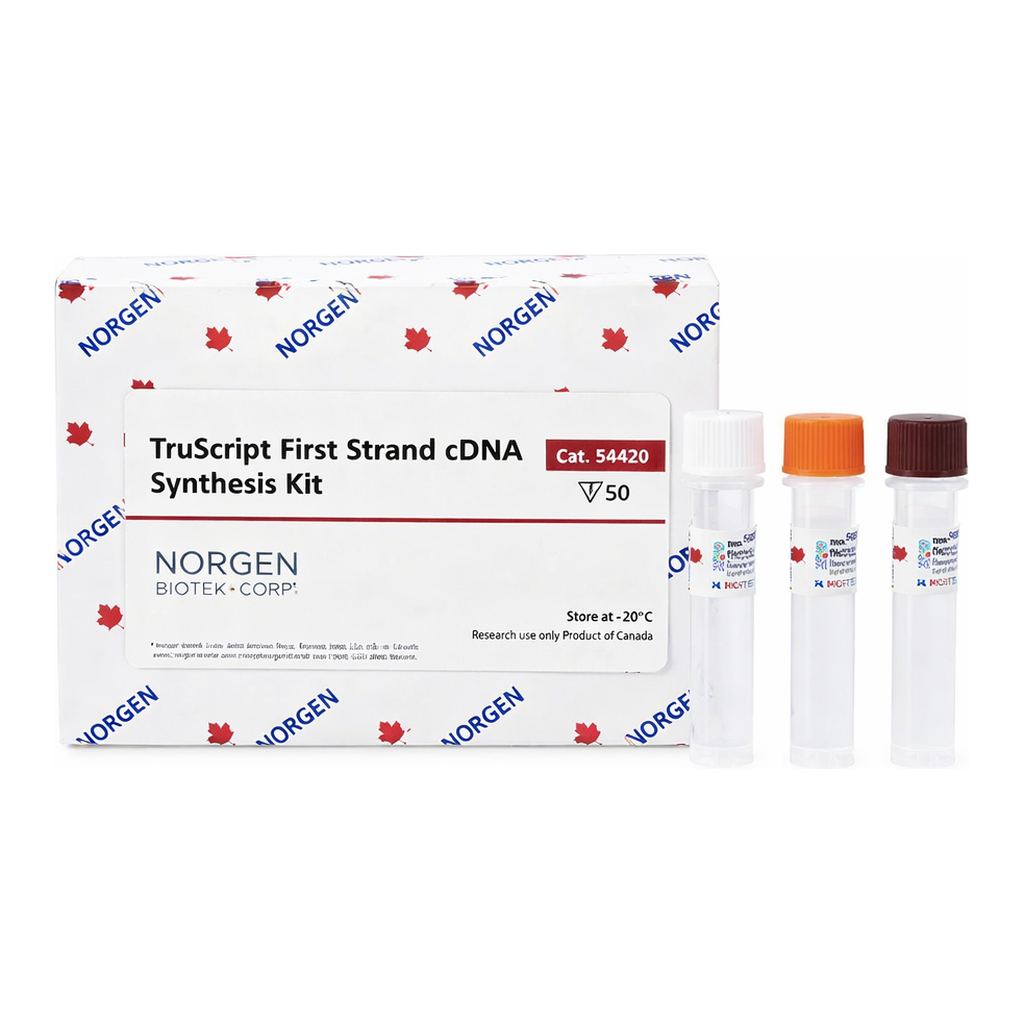 Norgen TruScript First Strand cDNA Synthesis Kit