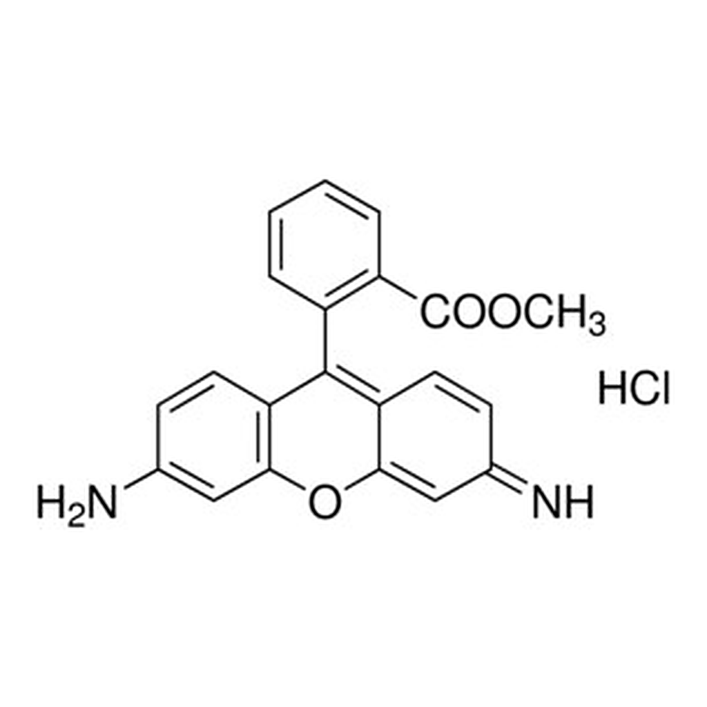 Merck RHODAMINE 123 BIOREAGENT, >=85% (H&
