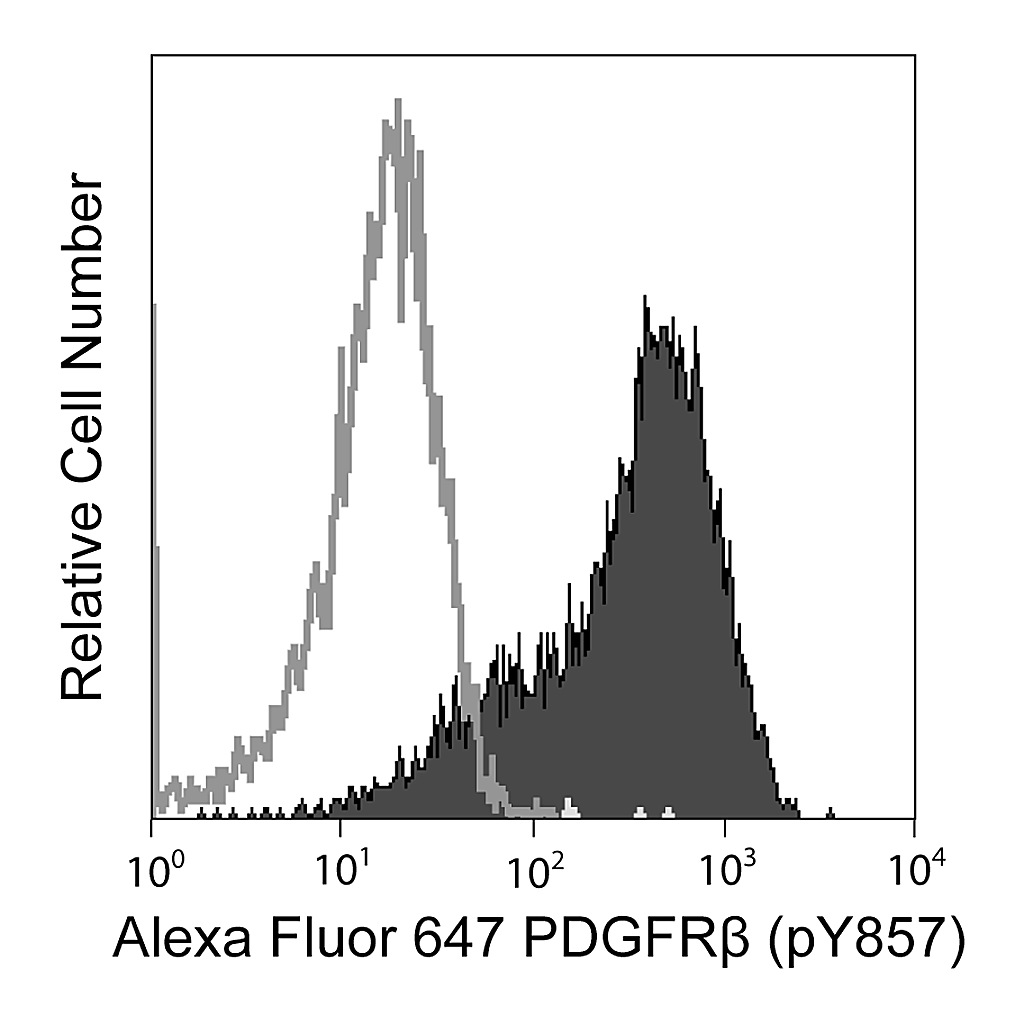BD Alexa Fluor® 647 Mouse anti-PDGFRβ (CD140b) (pY857)