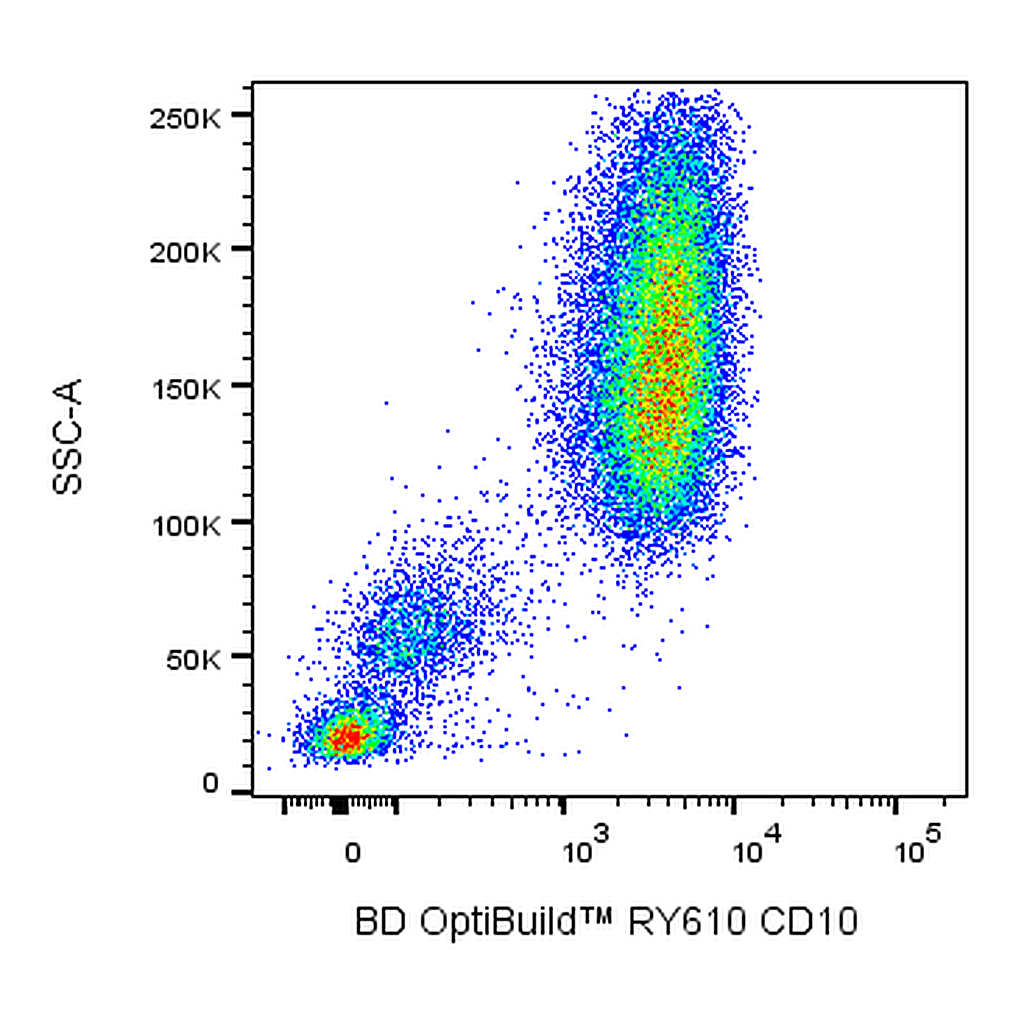 BD RY610 Mouse Anti-Human CD10