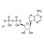 Merck ADENOSINE 5``-DIPHOSPHATE MONOPOTASSIUM&