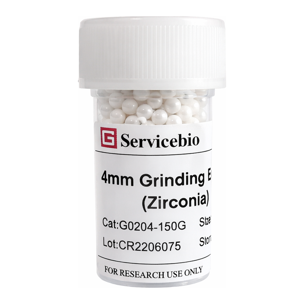 Servicebio Grinding Beads (Zirconia)
