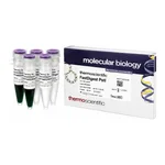 Thermo Fisher Scientific FastDigest PstI, 800 μL (800 reactions)