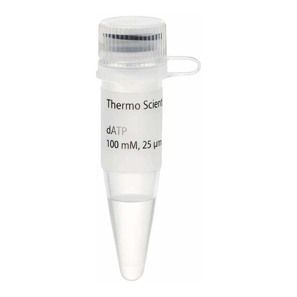 Thermo Fisher Scientific dATP Solution (100 mM)