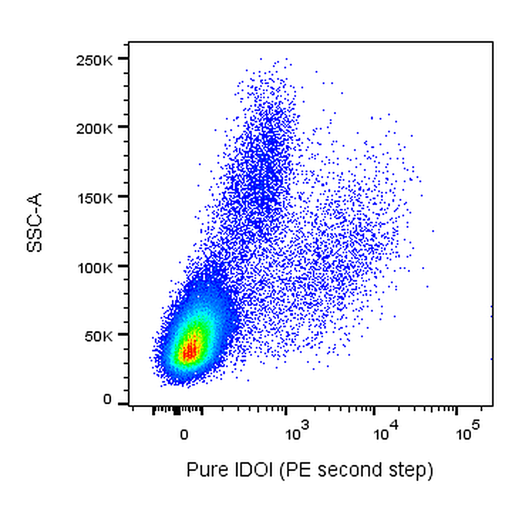 BD Purified Mouse Anti-Human IDO1