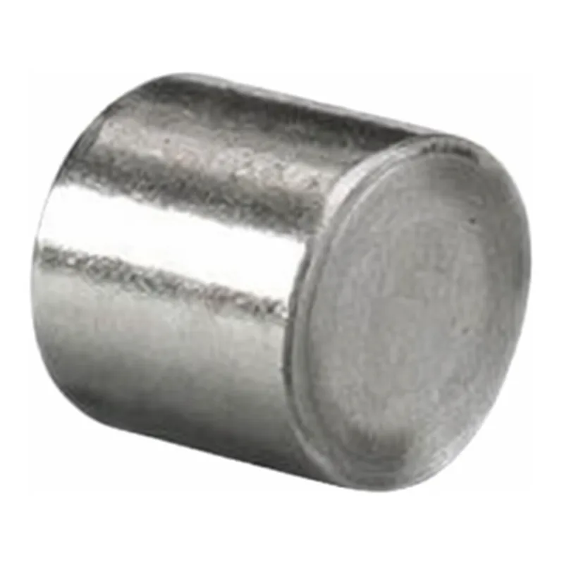 Waters XTerra Shield RP8 Prep Guard Cartridge, 125Å, 10 µm, 10 mm X 10 mm, 1/pk