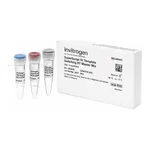 Thermo Fisher Scientific SuperScript IV Template Switching RT Master Mix, 48 reactions