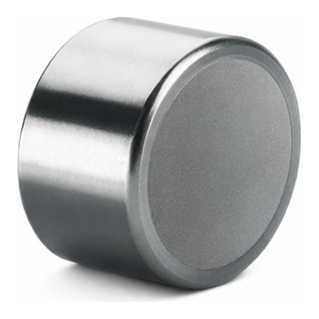 Waters Symmetry Shield RP18 Prep Guard Cartridge, 100Å, 5 µm, 19 mm X 10 mm, 1/pk