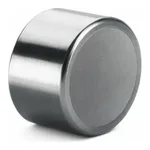 Waters Symmetry Shield RP18 Prep Guard Cartridge, 100Å, 5 µm, 19 mm X 10 mm, 1/pk