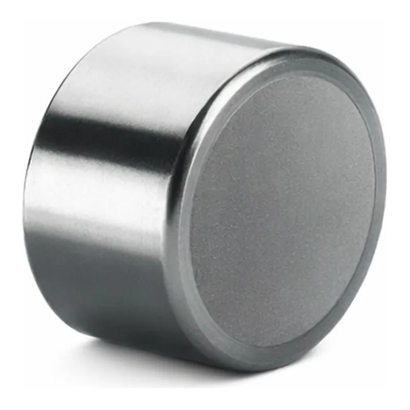 Waters Symmetry Shield RP18 Prep Guard Cartridge, 100Å, 5 µm, 19 mm X 10 mm, 1/pk