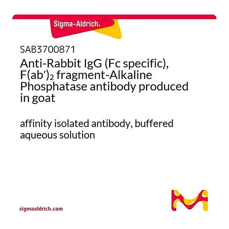 Merck Anti-Rabbit IgG (Fc specific), F(ab')2 fragment-Alkaline Phosphatase antibody produced in goat
