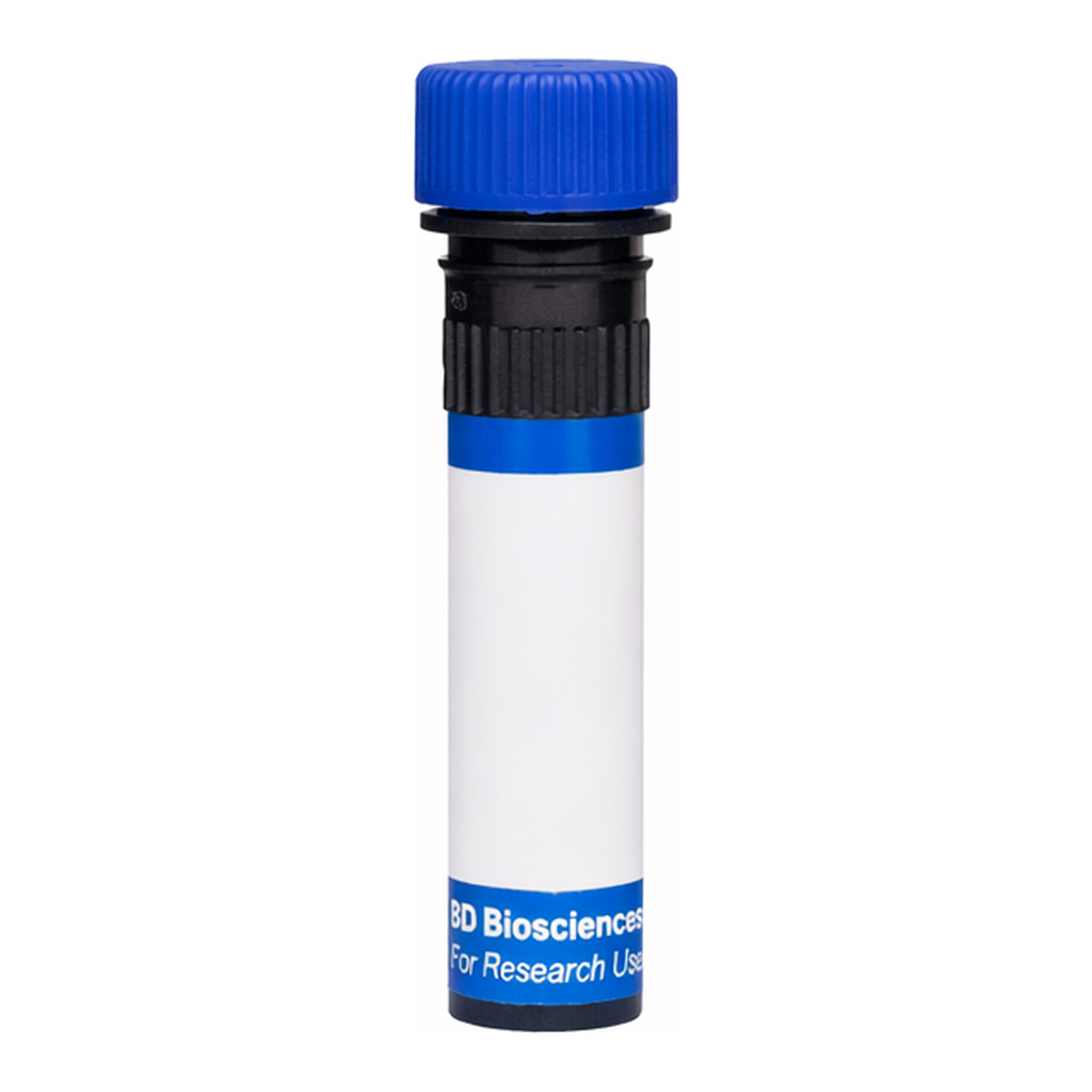 BD RB780 Mouse Anti-Mouse Vβ 8 T-Cell Receptor