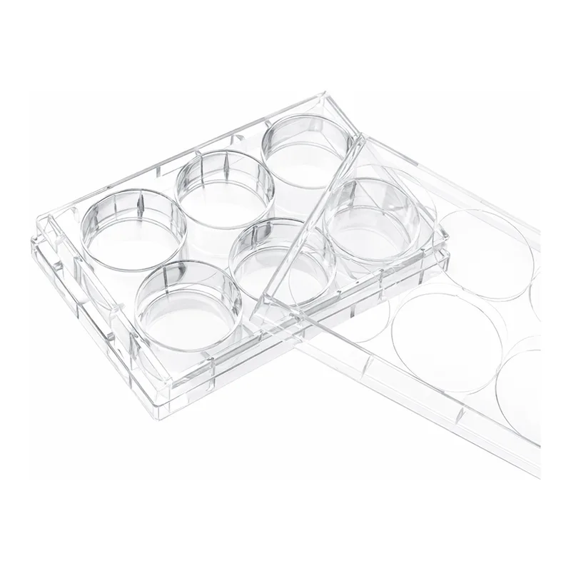 Daihan Science Biofil Cell and Tissue Culture Plate, PS, TC-Treated & Non-Treated Surface, 6·1
