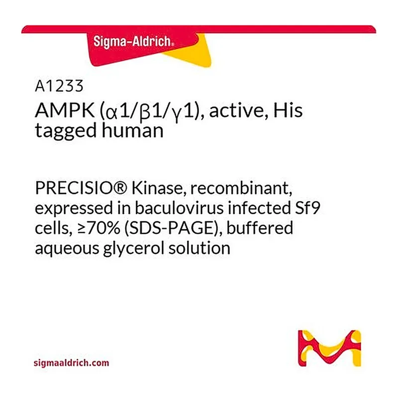 Merck AMPK (alpha1/beta1/gamma1), active, His tagged human