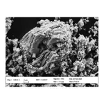 Merck Niobium Aluminum Carbide MAX phase