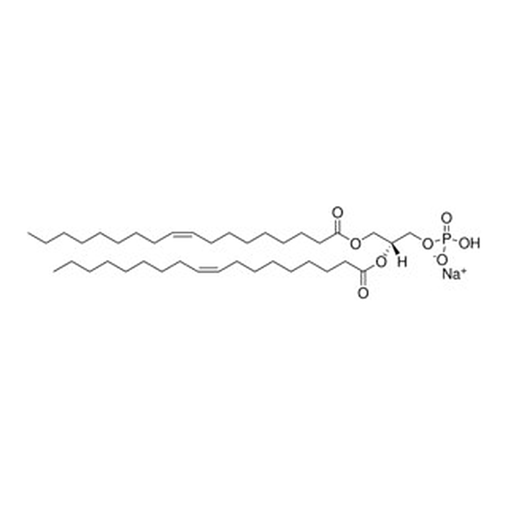 Merck 18:1 PA