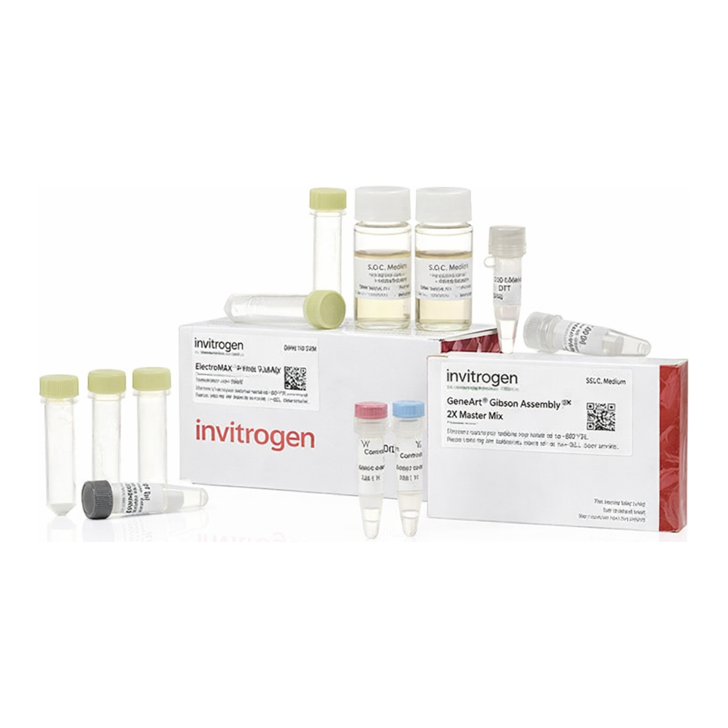 Thermo Fisher Scientific GeneArt Gibson Assembly EX Cloning Kit, electrocompetent cells