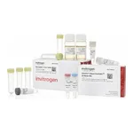 Thermo Fisher Scientific GeneArt Gibson Assembly EX Cloning Kit, electrocompetent cells