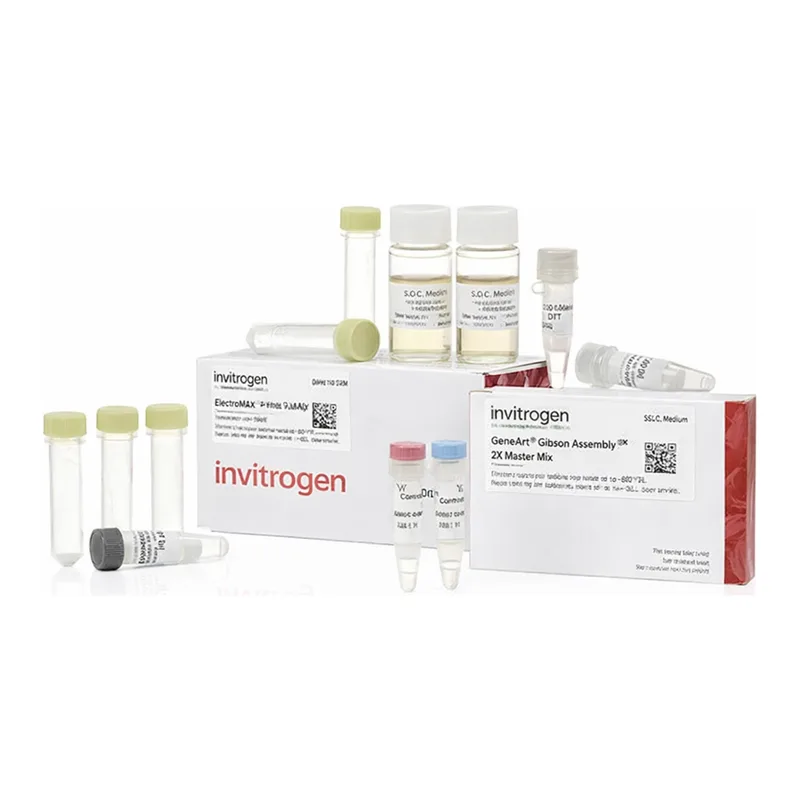 Thermo Fisher Scientific GeneArt Gibson Assembly EX Cloning Kit, electrocompetent cells