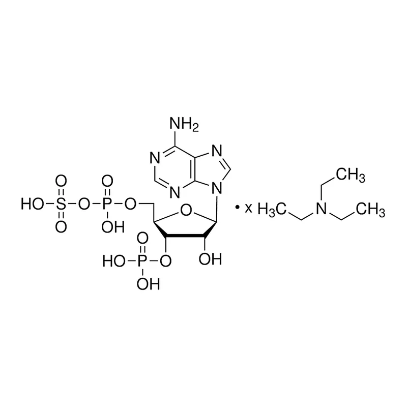 Merck Adenosine 3'-phosphate 5'-phosphosulfate triethylammonium salt