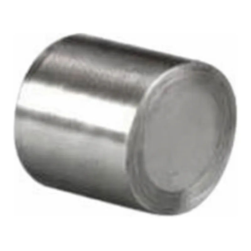 Waters XSelect HSS C18 SB Prep Guard Cartridge, 100Å, 5 µm, 10 mm X 10 mm, 1/pk