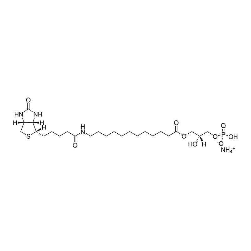 Merck 12:0 Biotinyl LPA