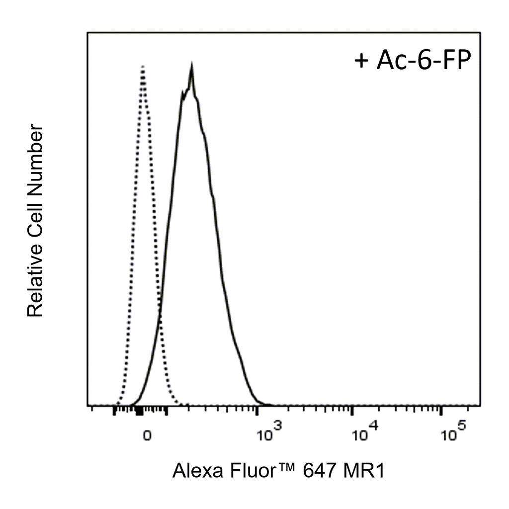 BD Alexa Fluor 647 Mouse Anti-MR1
