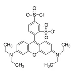 Merck Sulforhodamine B acid chloride