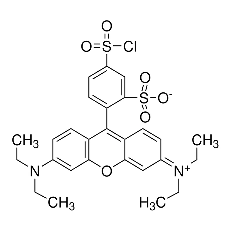 Merck Sulforhodamine B acid chloride
