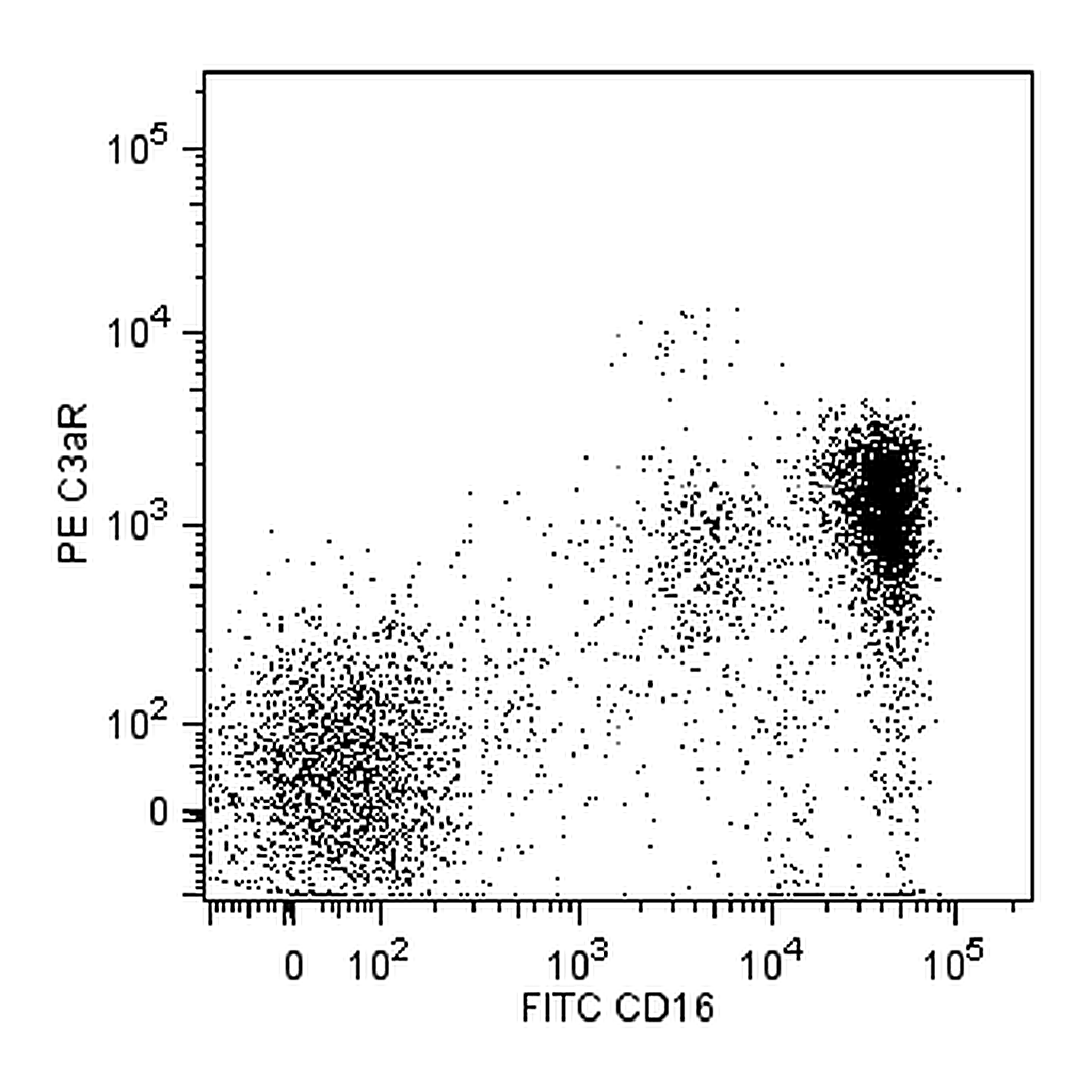 BD PE Mouse anti-Human C3a Receptor