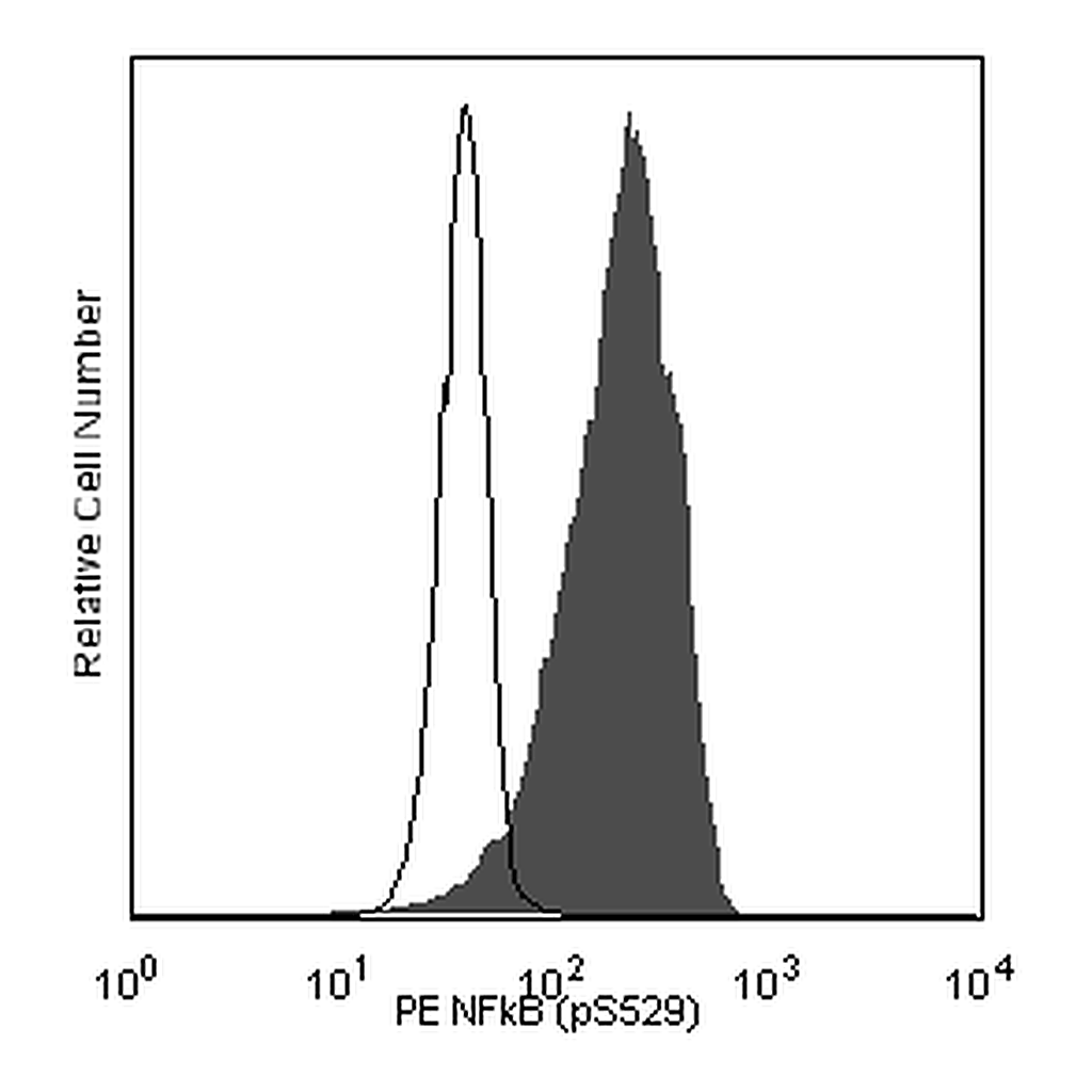 BD PE Mouse anti-NF-κB p65 (pS529)