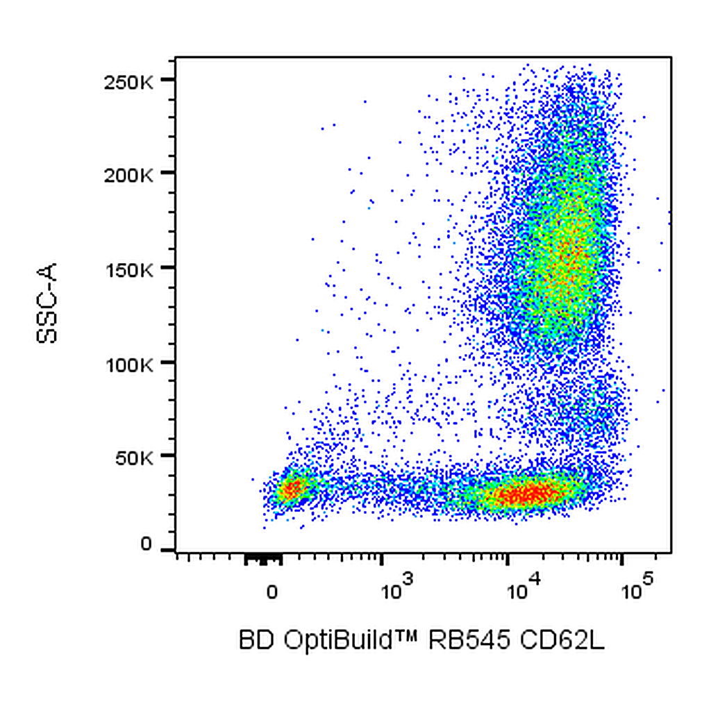 BD RB545 Mouse Anti-Human CD62L