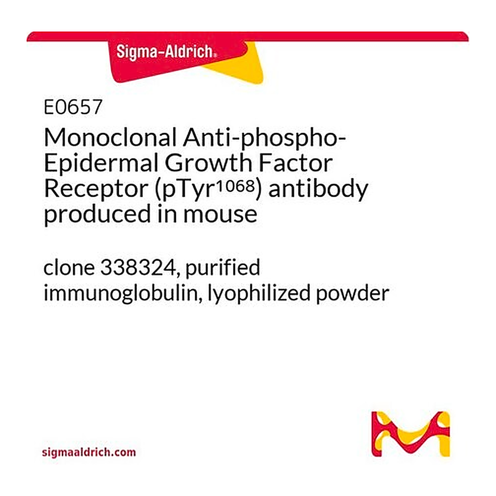 Merck Monoclonal Anti-phospho-Epidermal Growth Factor Receptor (pTyr1068) antibody produced in mouse