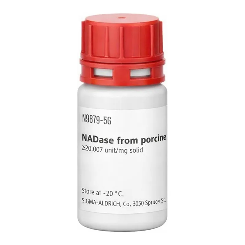 Merck NADase from porcine brain