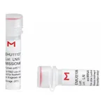 Merck MISSION(R) esiRNA