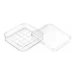 SQUARE DISH