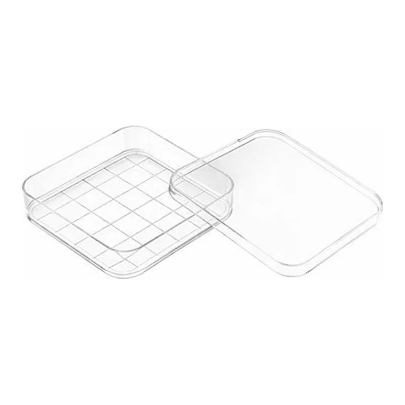 SQUARE DISH