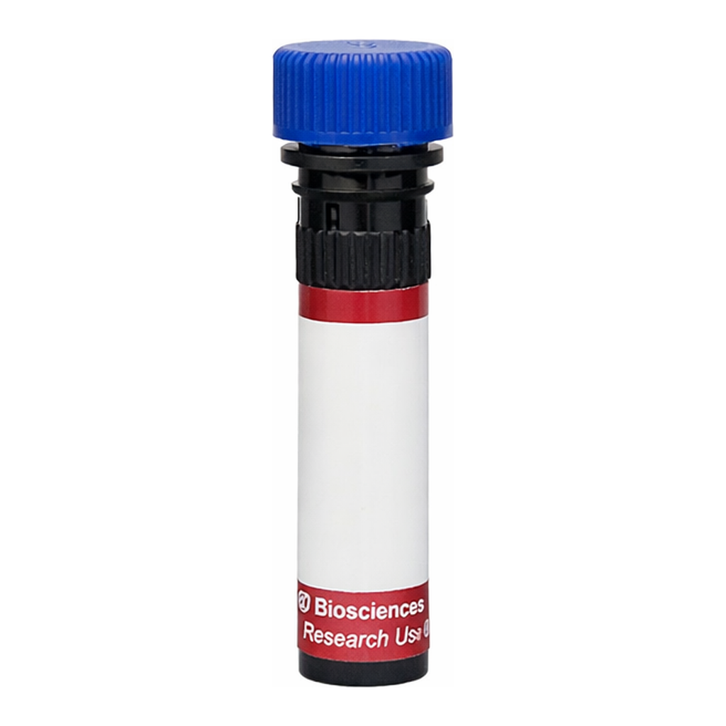 BD R718 Mouse Anti-Human Delta-Like Protein 1