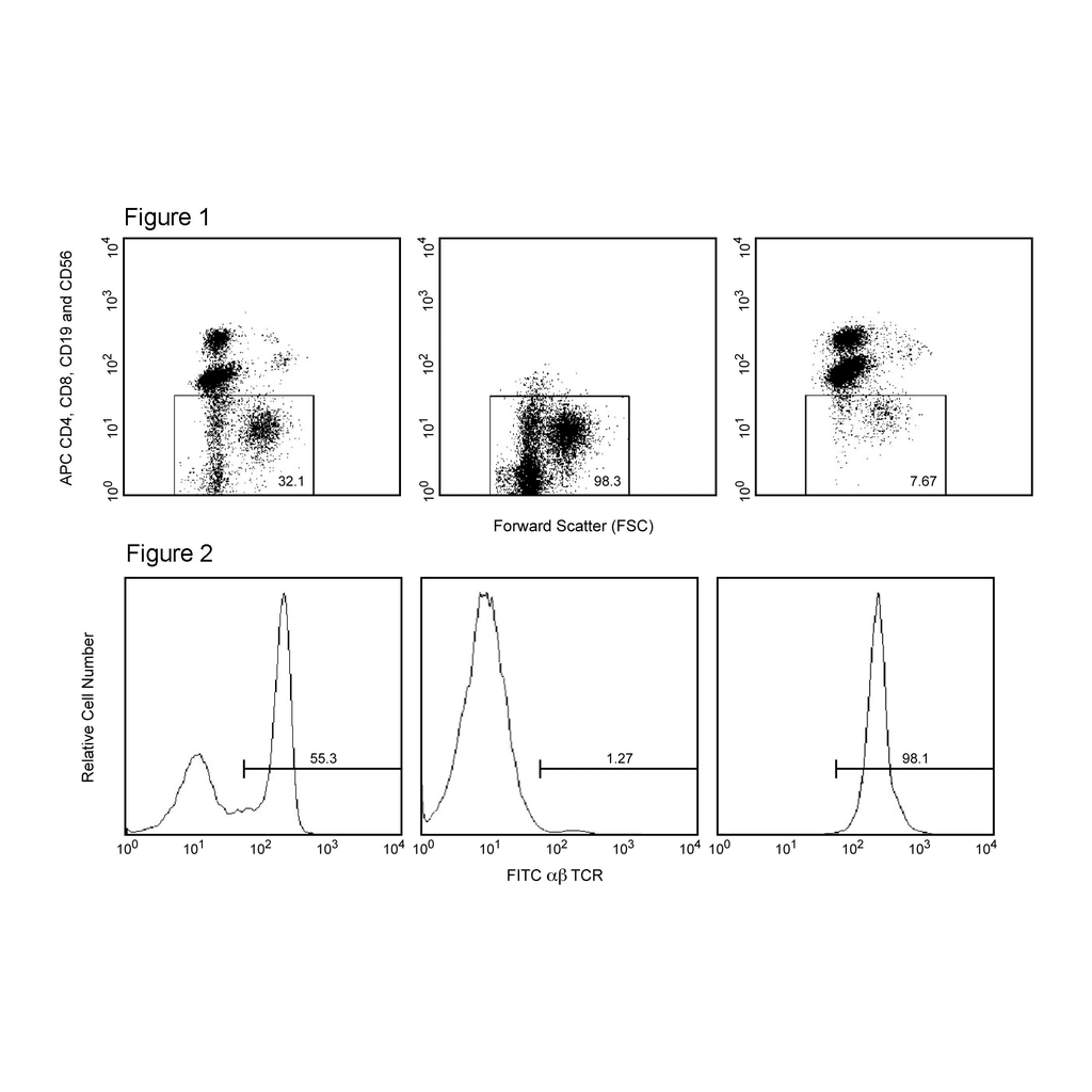 BD Anti-Mouse IgG1 Magnetic Particles - DM