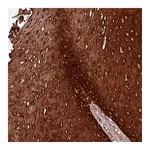 Atlas Antibodies Anti-ZNF286B Antibody