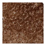 Atlas Antibodies Anti-ZNF862 Antibody